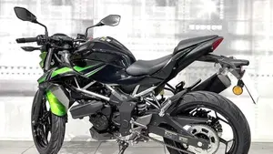 Kawasaki Z 125 (2021 - 24)  (2)