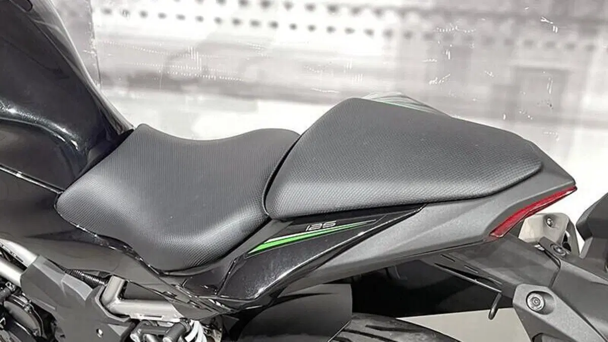 Kawasaki Z 125 (2021 - 24)  (4)
