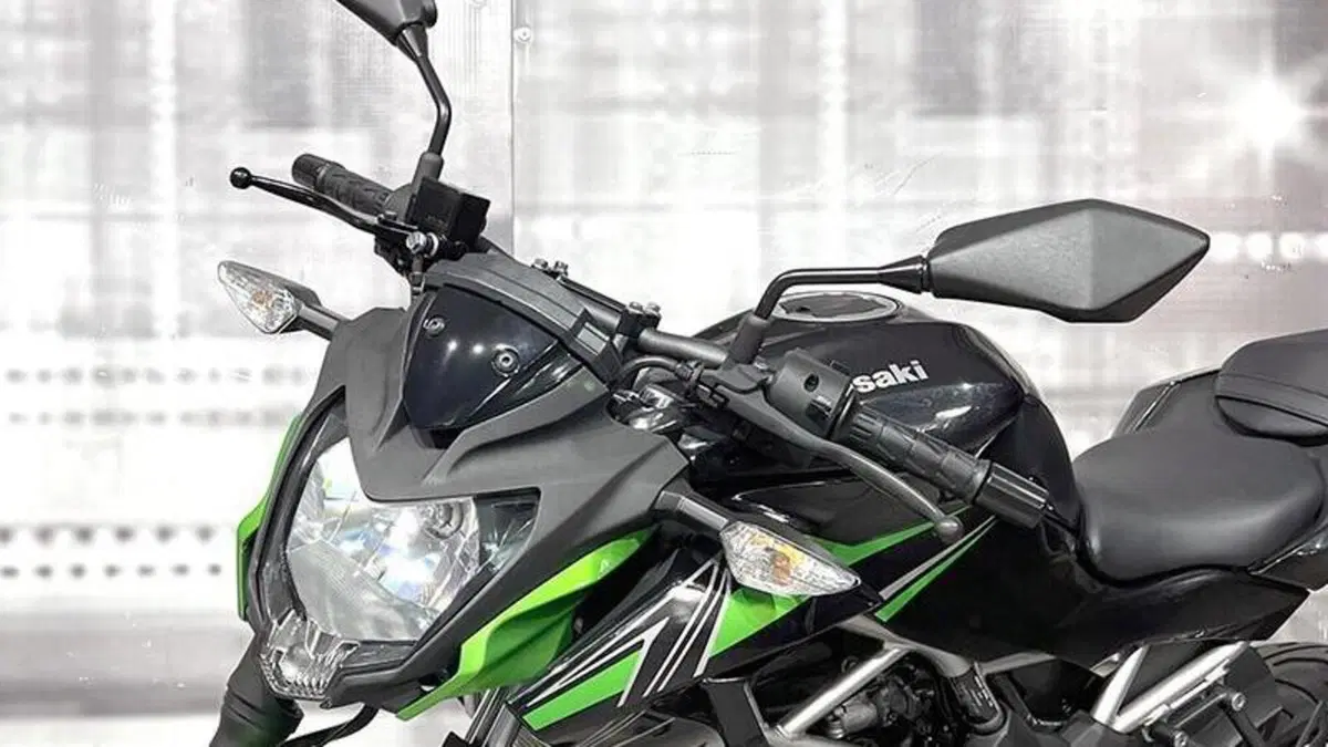 Kawasaki Z 125 (2021 - 24)  (5)