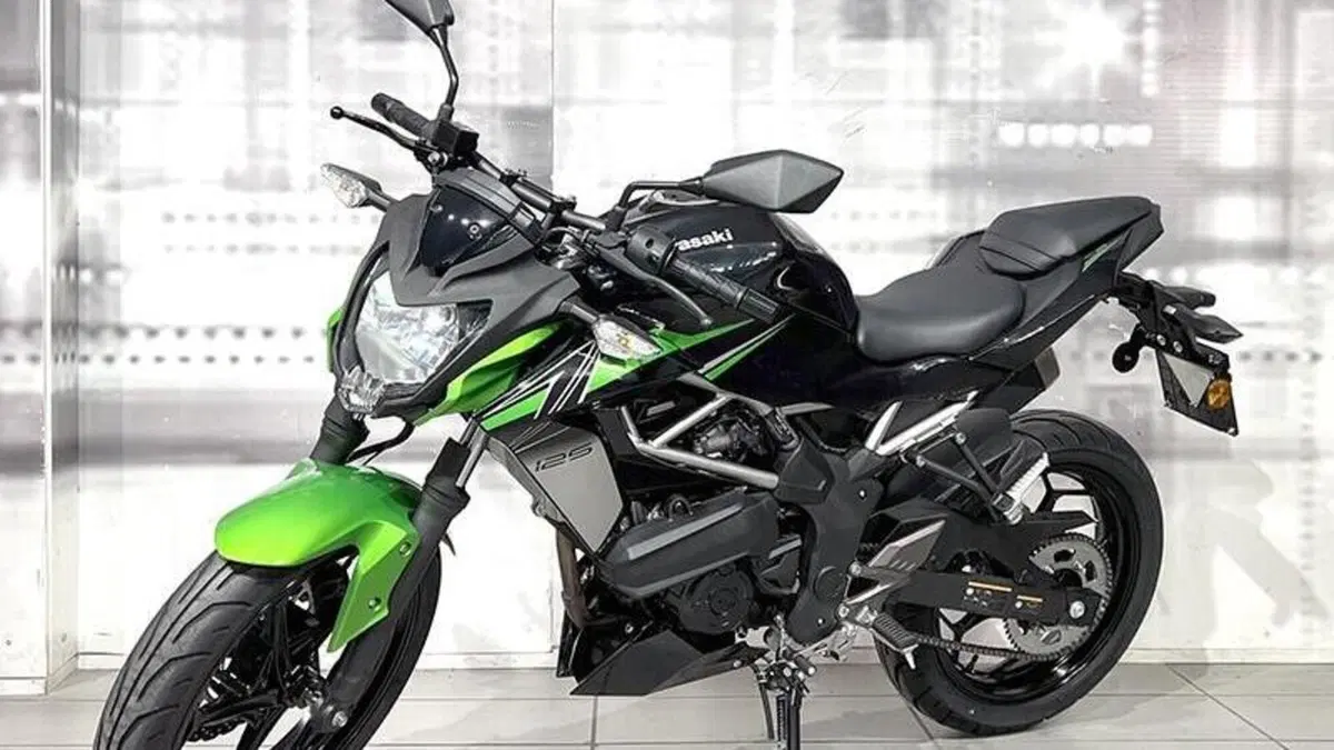 Kawasaki Z 125 (2021 - 24)  (7)