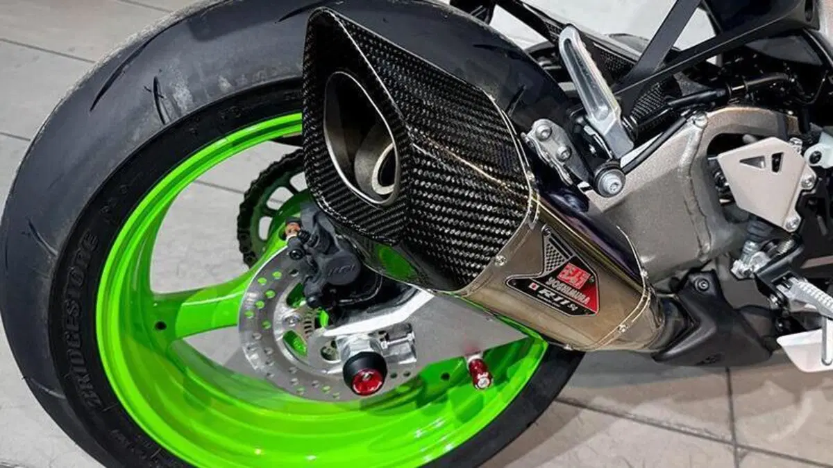 Kawasaki Ninja 1000 ZX-10R (2021 - 25)  (3)