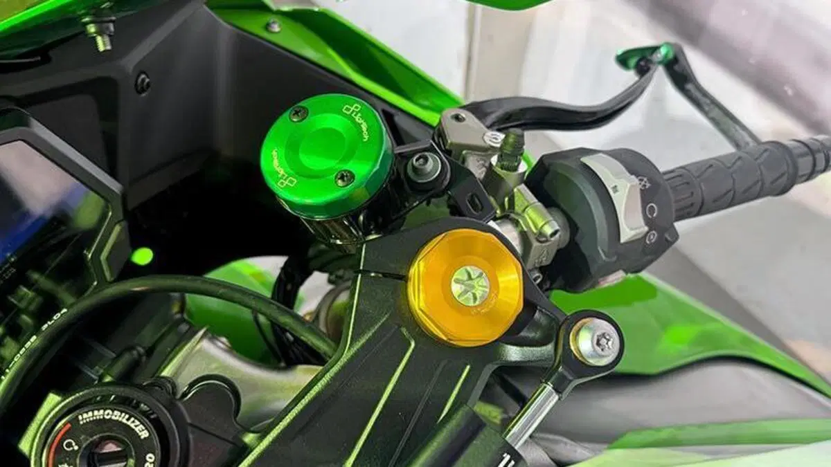 Kawasaki Ninja 1000 ZX-10R (2021 - 25)  (6)