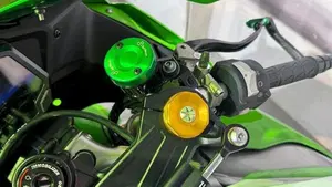 Kawasaki Ninja 1000 ZX-10R (2021 - 25)  (6)