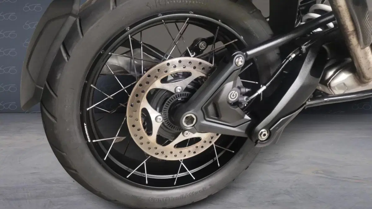 Triumph Tiger 1200 Rally Pro (2022 - 23)  (5)