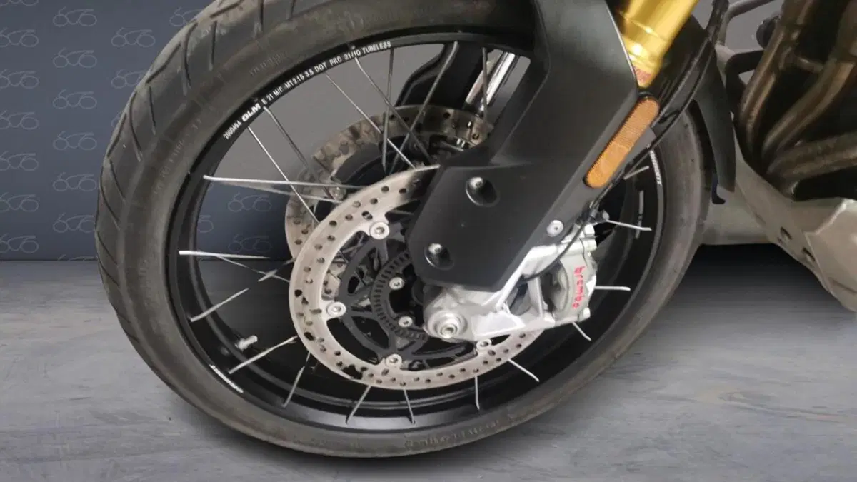 Triumph Tiger 1200 Rally Pro (2022 - 23)  (6)