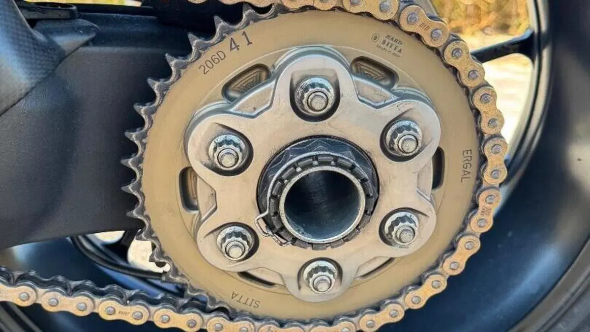 Ducati Panigale V4 1100 (2018 - 19)  (6)