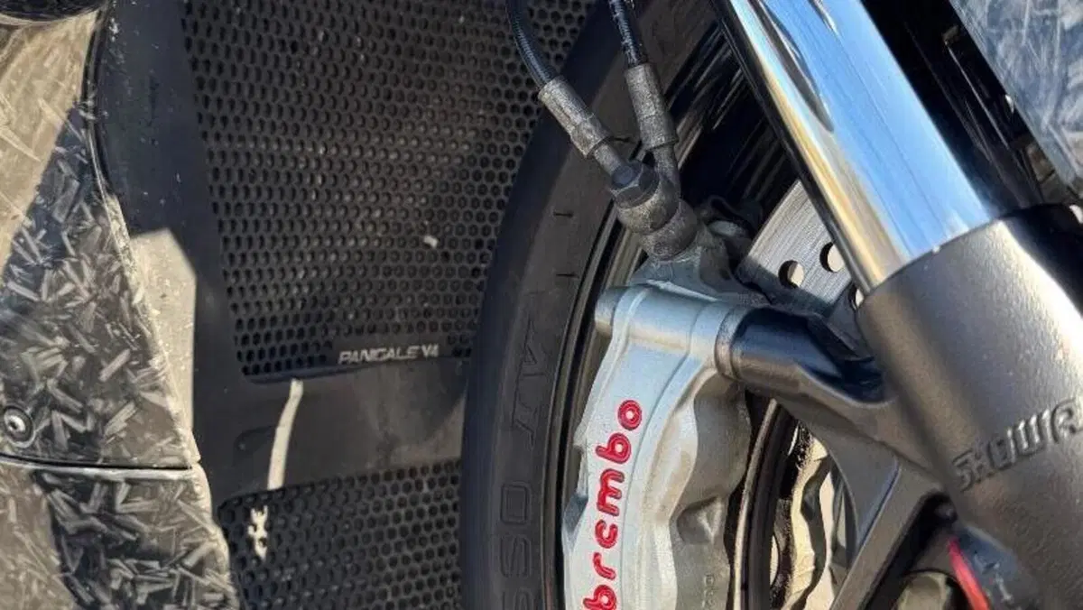 Ducati Panigale V4 1100 (2018 - 19)  (7)