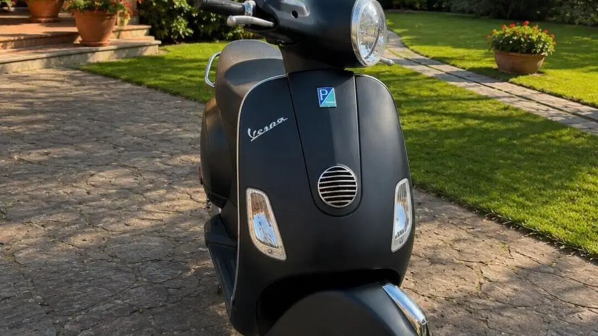 Vespa LX 50 2T (2009 - 14)  (2)