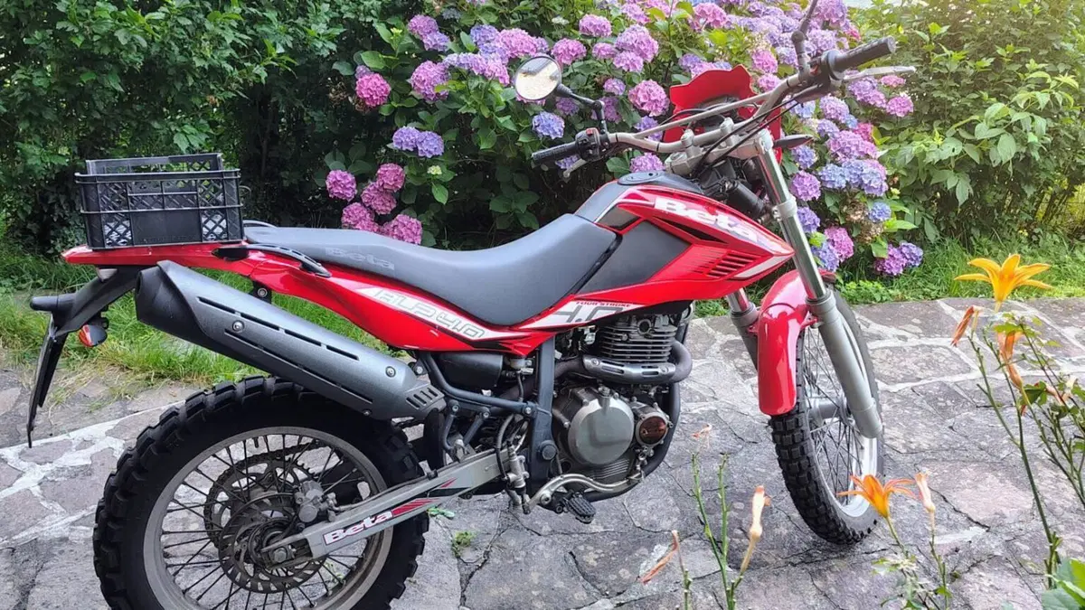 Betamotor Alp 4.0 (2008 - 17)  (2)