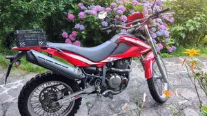 Betamotor Alp 4.0 (2008 - 17)  (2)