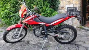 Betamotor Alp 4.0 (2008 - 17)  (3)