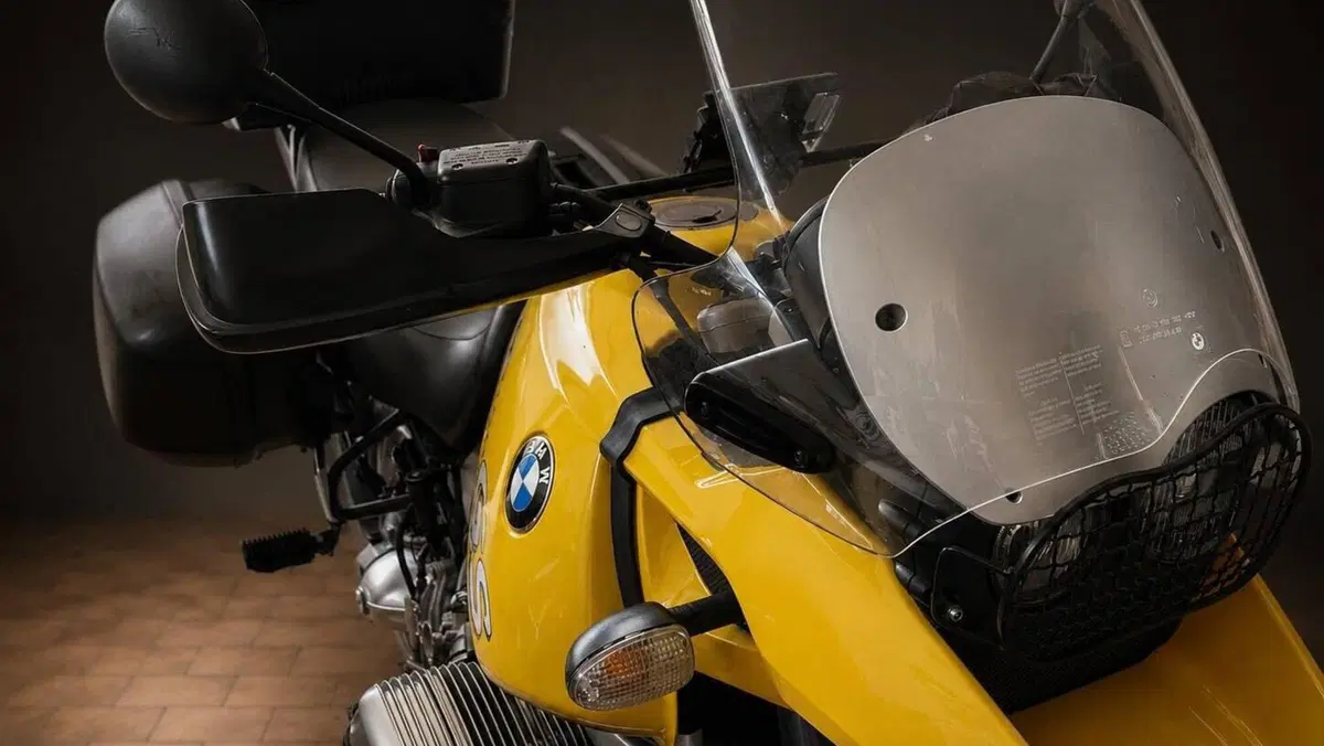 Bmw R 1150 GS (1999 - 03)  (5)