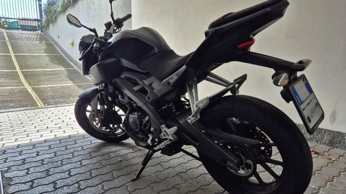 Yamaha MT-125 ABS (2017 - 19)  (5)