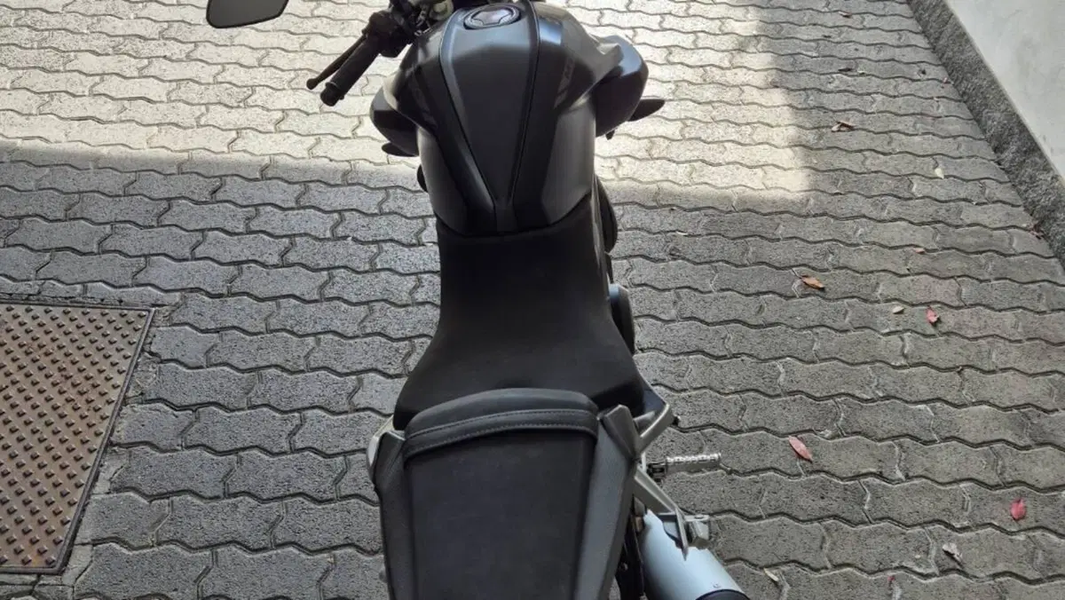 Yamaha MT-125 ABS (2017 - 19)  (6)