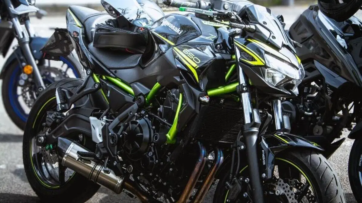 Kawasaki Z 650 Performance (2020) 