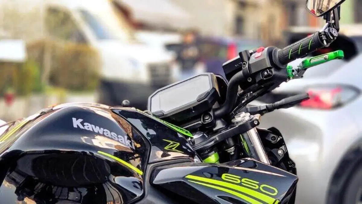 Kawasaki Z 650 Performance (2020)  (2)