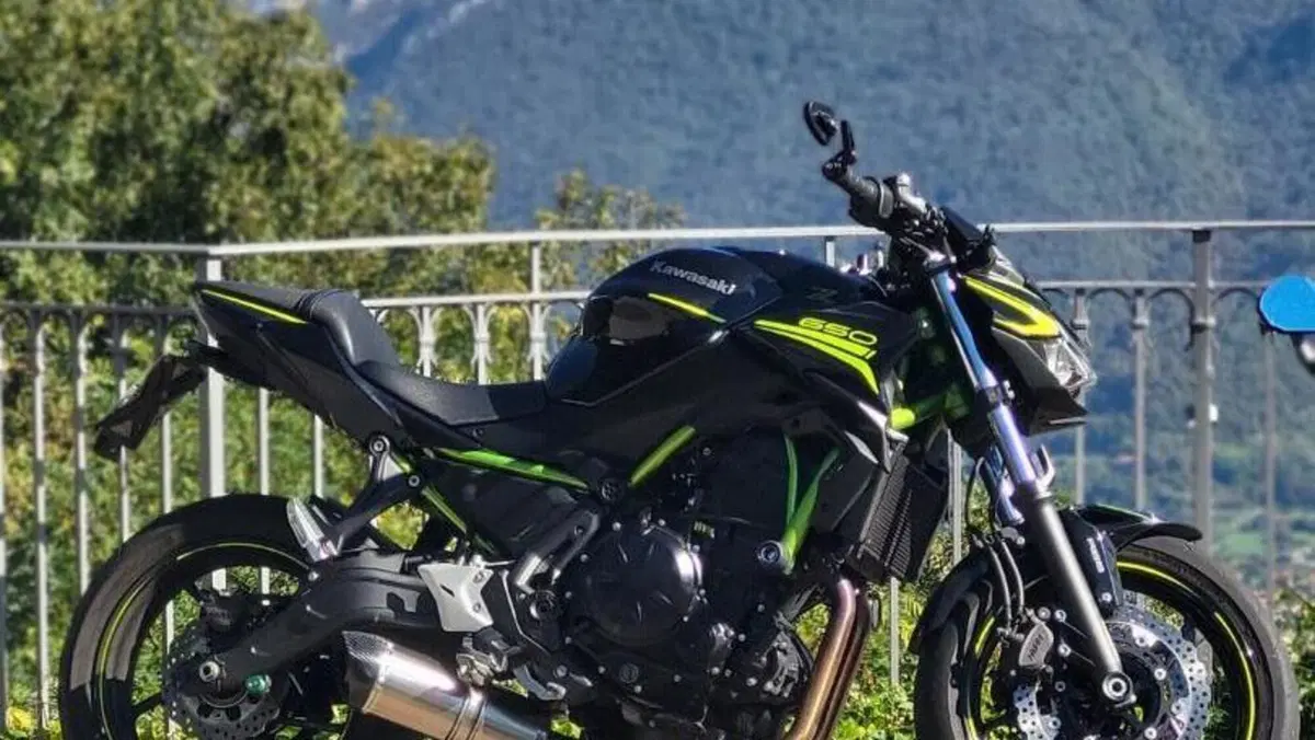 Kawasaki Z 650 Performance (2020)  (3)