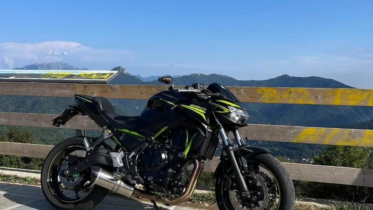 Kawasaki Z 650 Performance (2020)  (6)