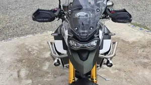 Triumph Tiger 900 Rally Pro (2020 - 23)  (6)