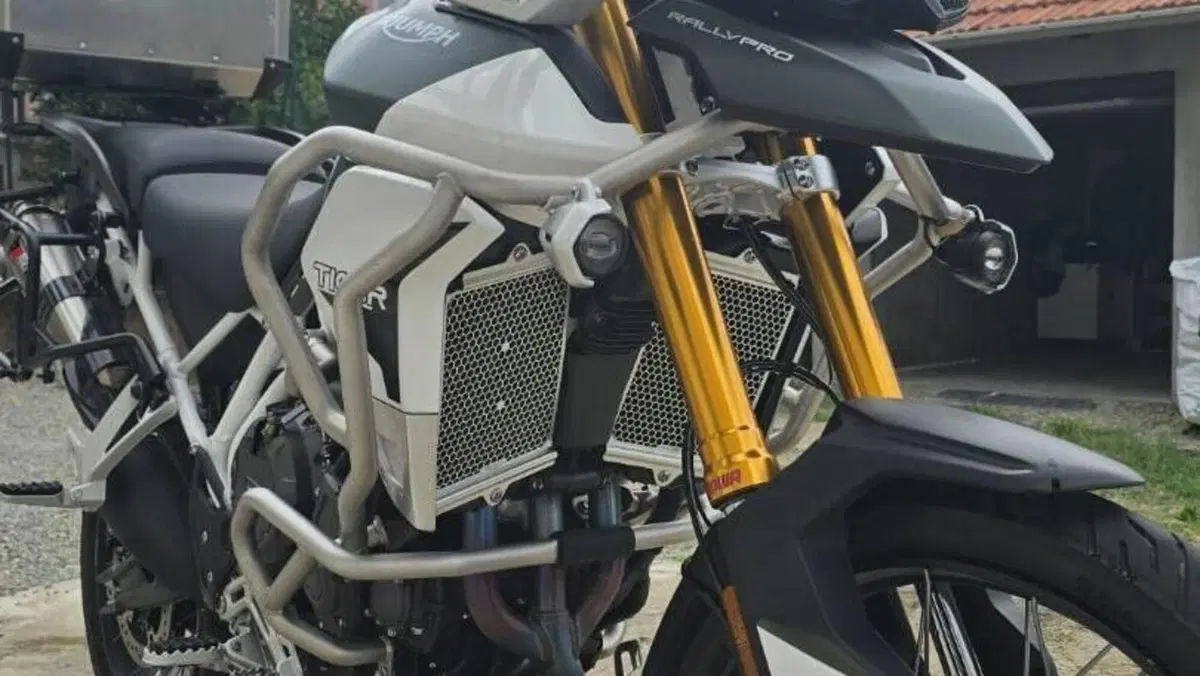 Triumph Tiger 900 Rally Pro (2020 - 23)  (10)