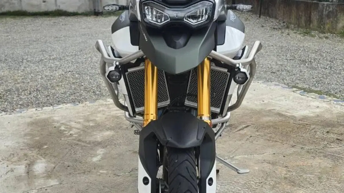 Triumph Tiger 900 Rally Pro (2020 - 23)  (11)