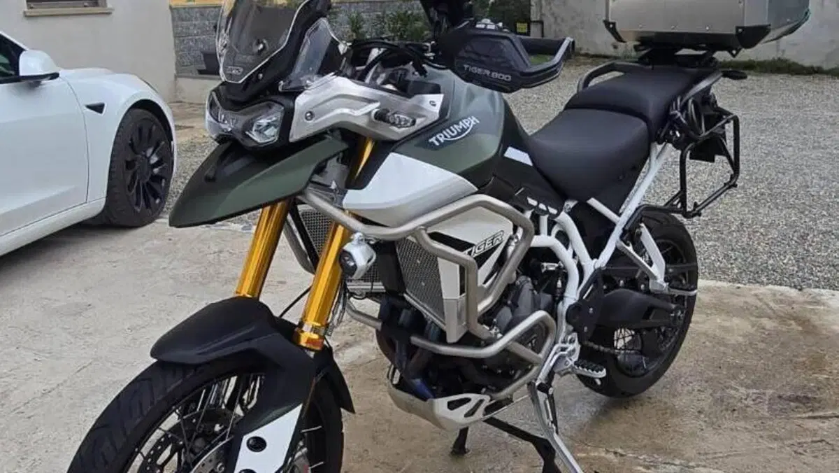 Triumph Tiger 900 Rally Pro (2020 - 23)  (12)