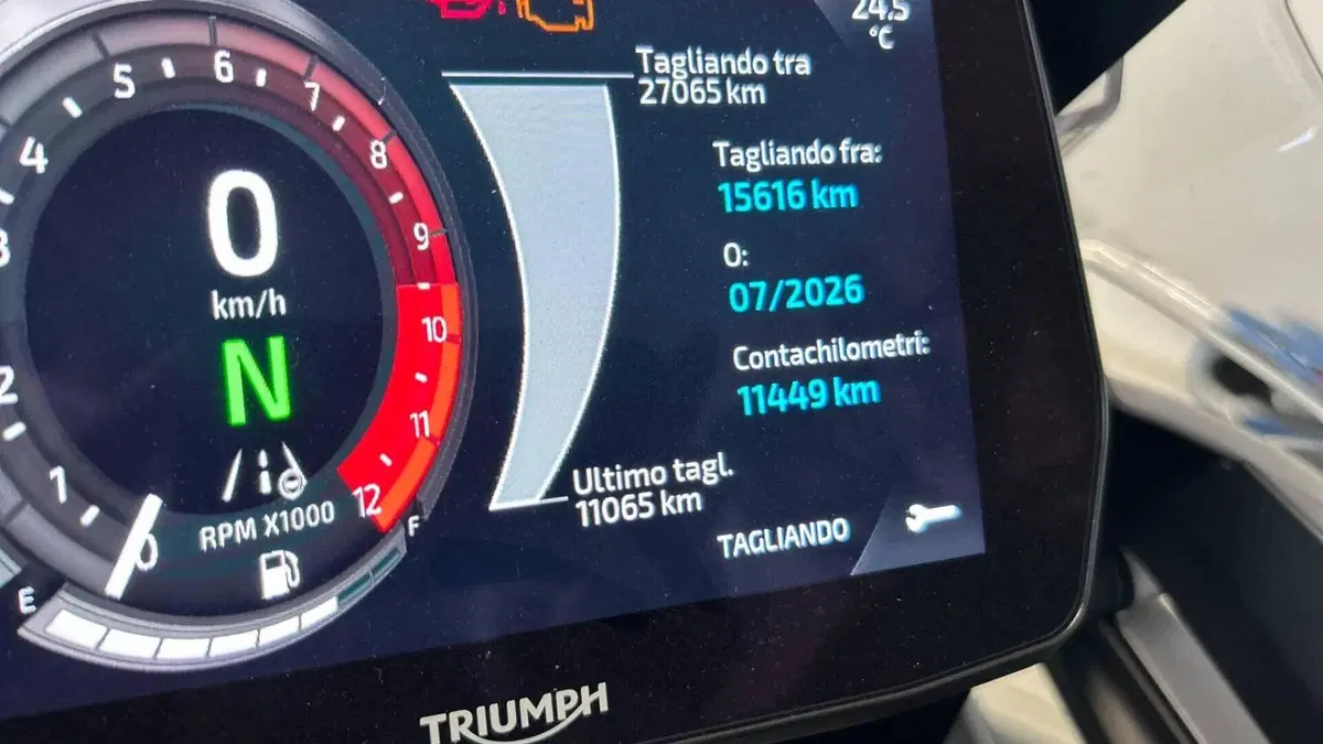 Triumph Tiger 1200 GT Pro (2022 - 23)  (5)