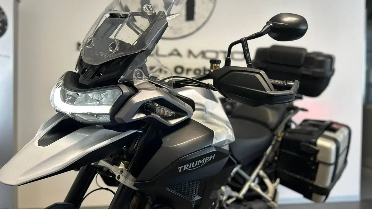 Triumph Tiger 1200 GT Pro (2022 - 23)  (6)