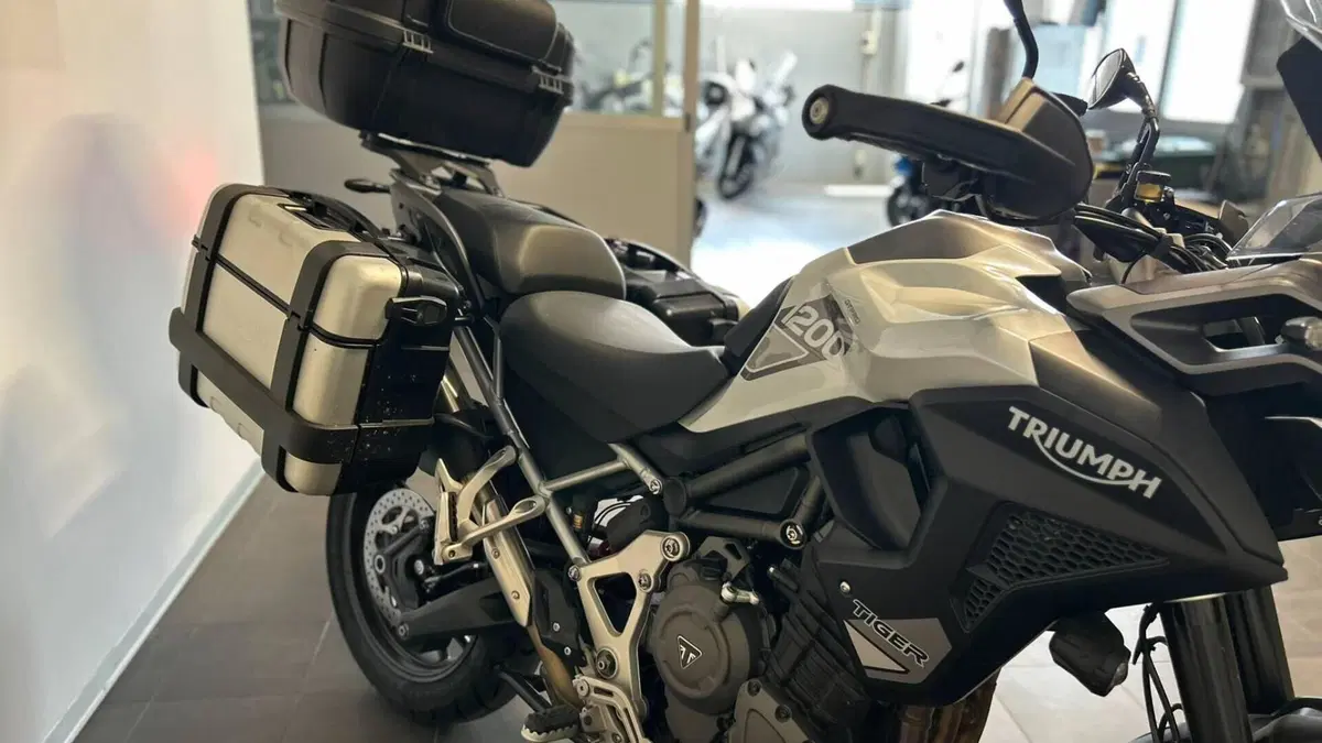 Triumph Tiger 1200 GT Pro (2022 - 23)  (8)