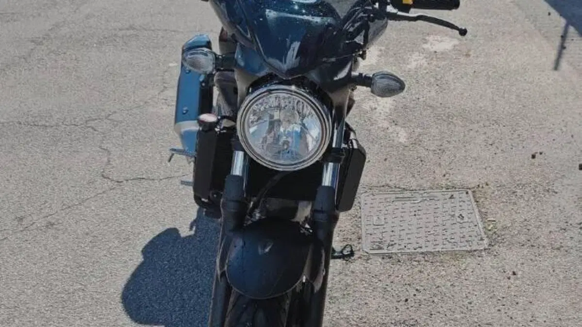 Suzuki SV650 (2021 - 24) 