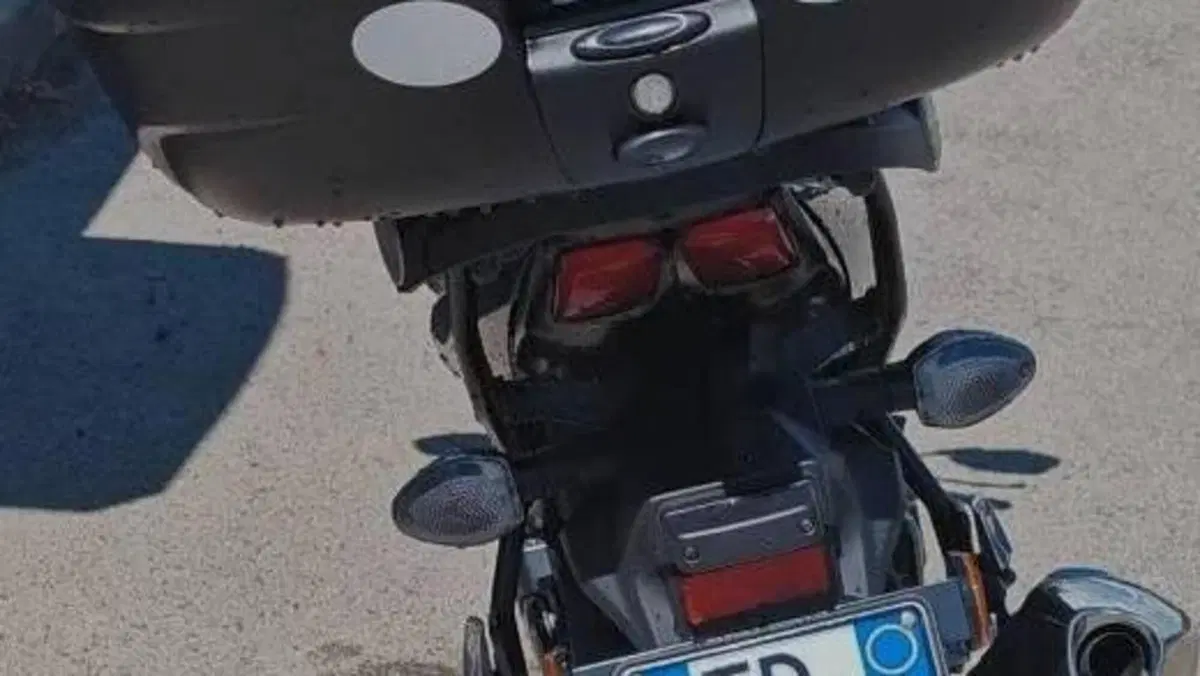 Suzuki SV650 (2021 - 24)  (4)