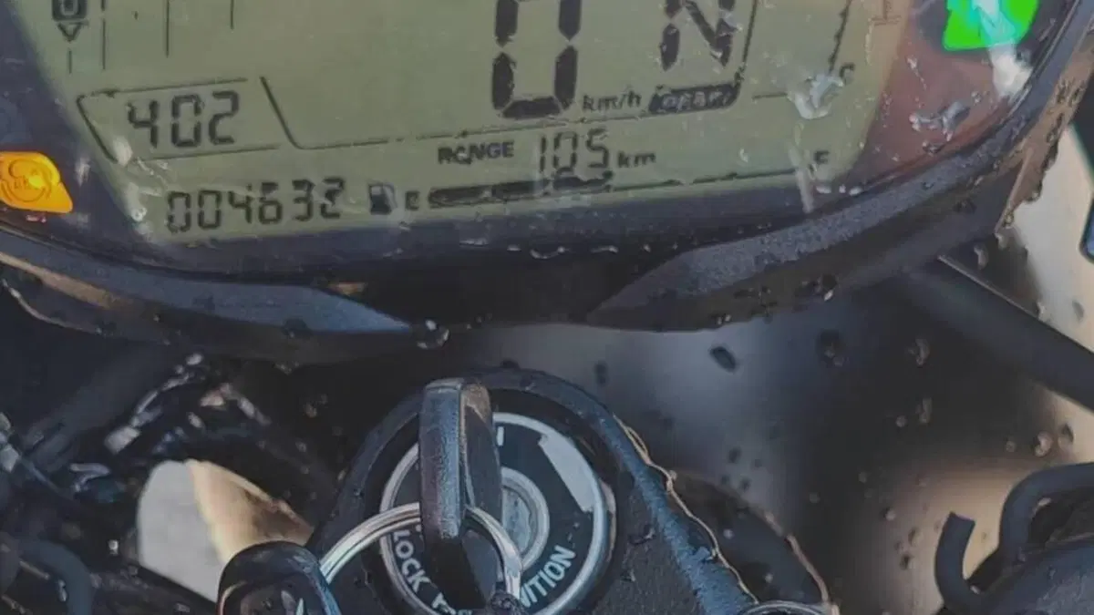 Suzuki SV650 (2021 - 24)  (5)
