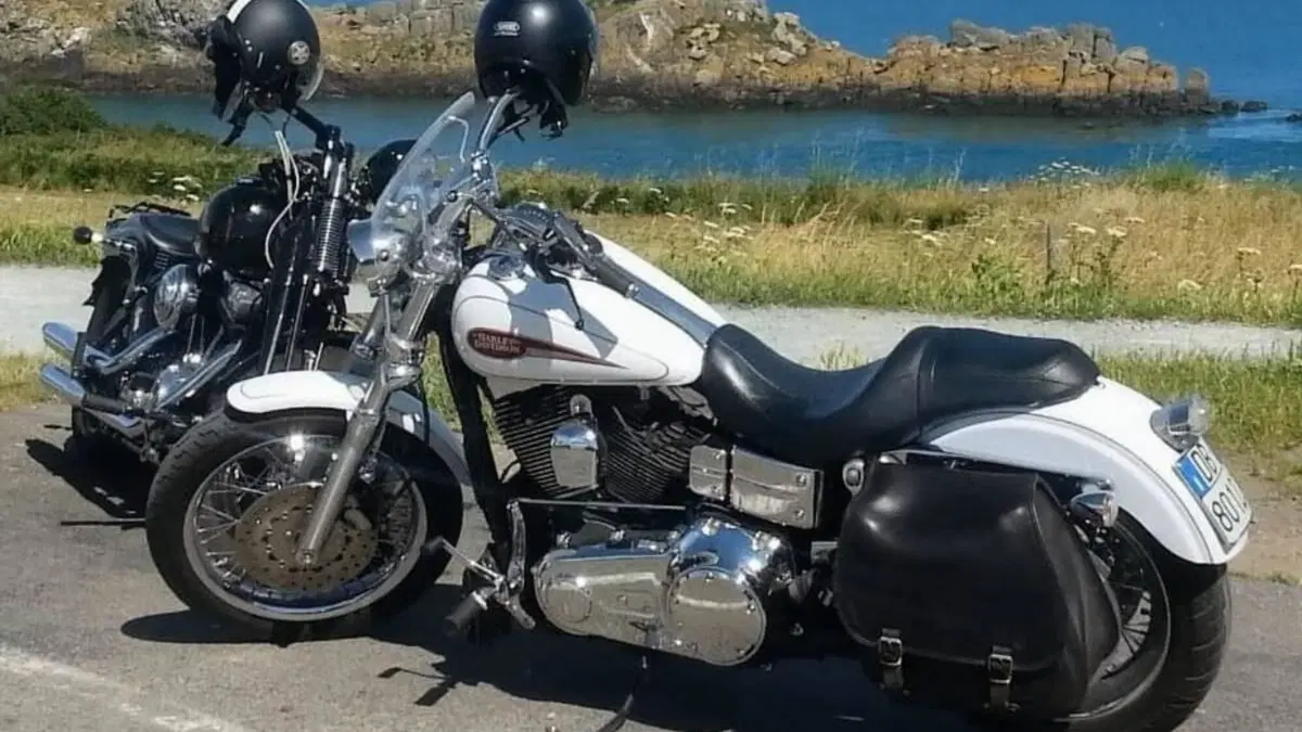 Harley-Davidson 1584 Low Rider (2007 - 08) - FXDL  (3)