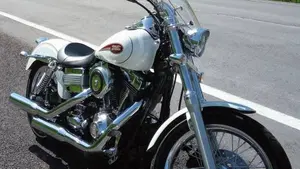 Harley-Davidson 1584 Low Rider (2007 - 08) - FXDL  (4)