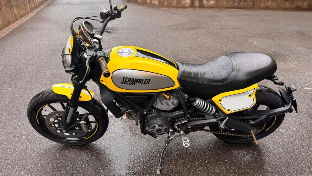 Ducati Scrambler 800 Flat Track Pro (2016 - 17)  (2)