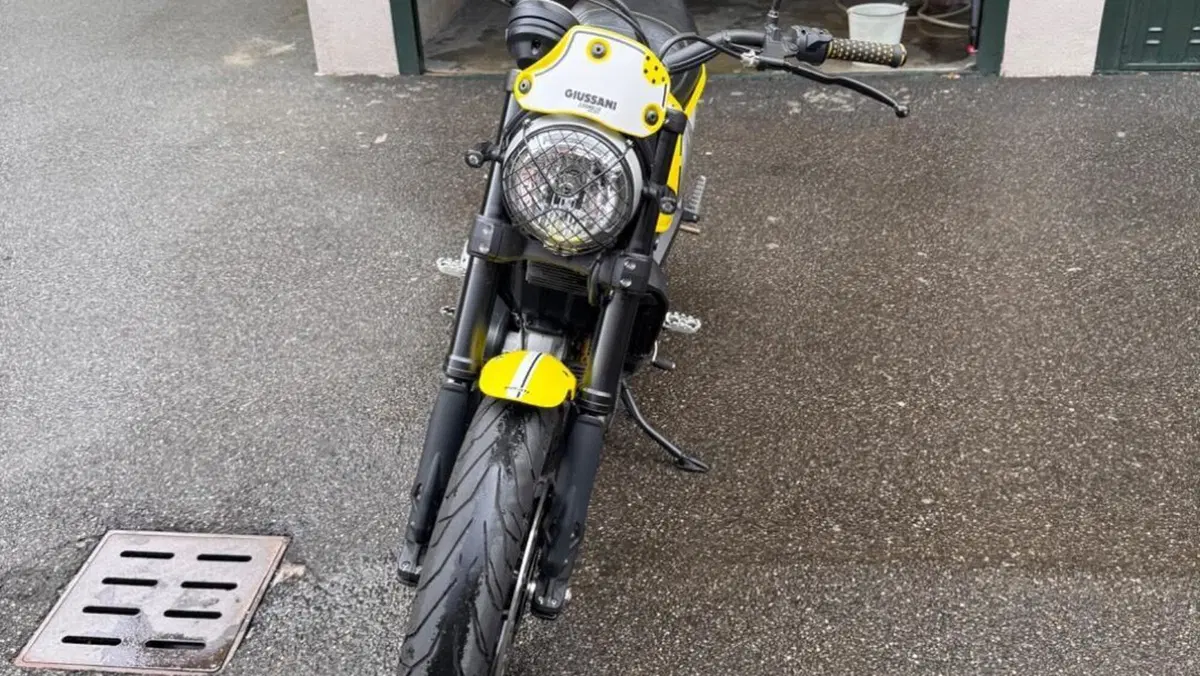 Ducati Scrambler 800 Flat Track Pro (2016 - 17)  (3)