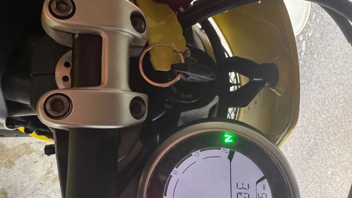 Ducati Scrambler 800 Flat Track Pro (2016 - 17)  (5)