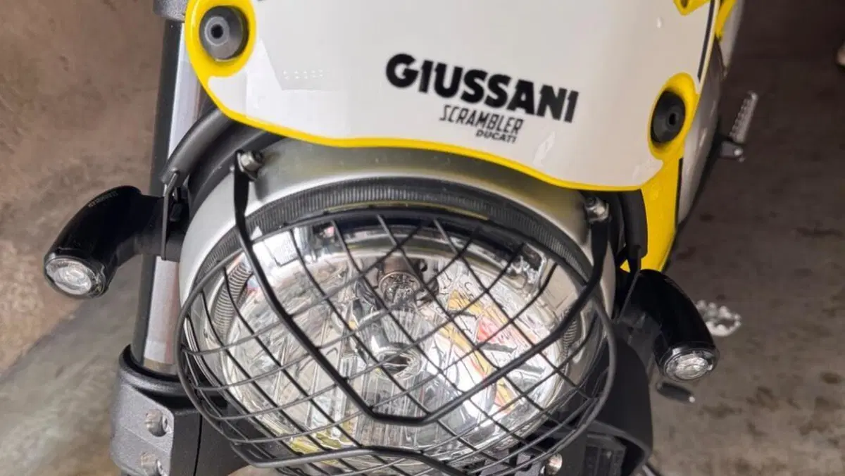 Ducati Scrambler 800 Flat Track Pro (2016 - 17)  (6)