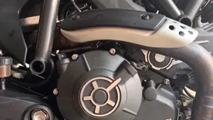 Ducati Scrambler 800 Flat Track Pro (2016 - 17)  (8)