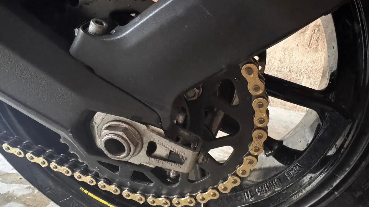 Ducati Scrambler 800 Flat Track Pro (2016 - 17)  (9)