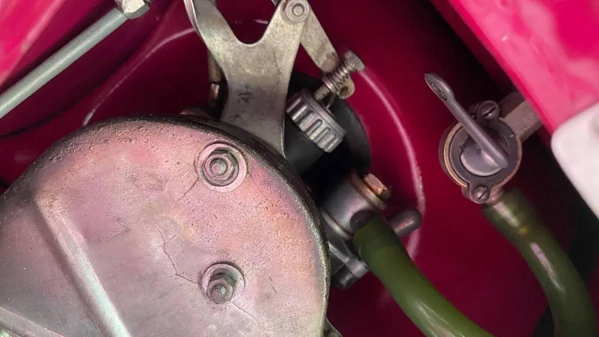 Vespa   (2)