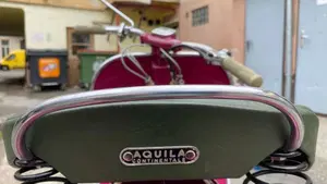 Vespa   (7)
