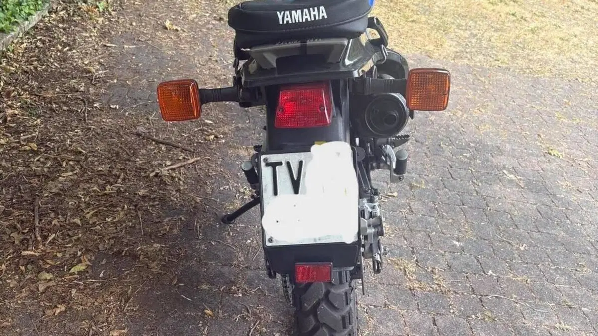 Yamaha   (2)