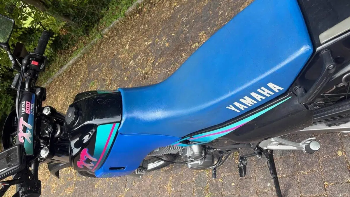 Yamaha   (10)