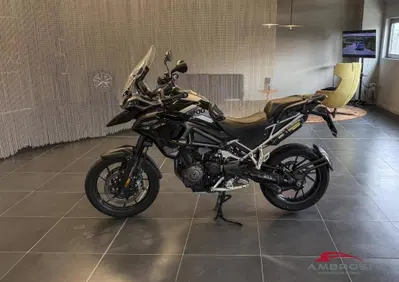 Triumph Tiger 1200 GT Pro (2022 - 23) - Annuncio 10055174