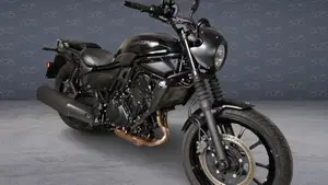Kawasaki Eliminator 500 SE (2024 - 26)  (2)