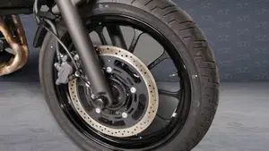 Kawasaki Eliminator 500 SE (2024 - 26)  (5)
