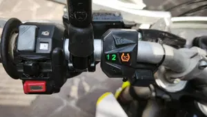 Husqvarna 701 Enduro (2020)  (6)