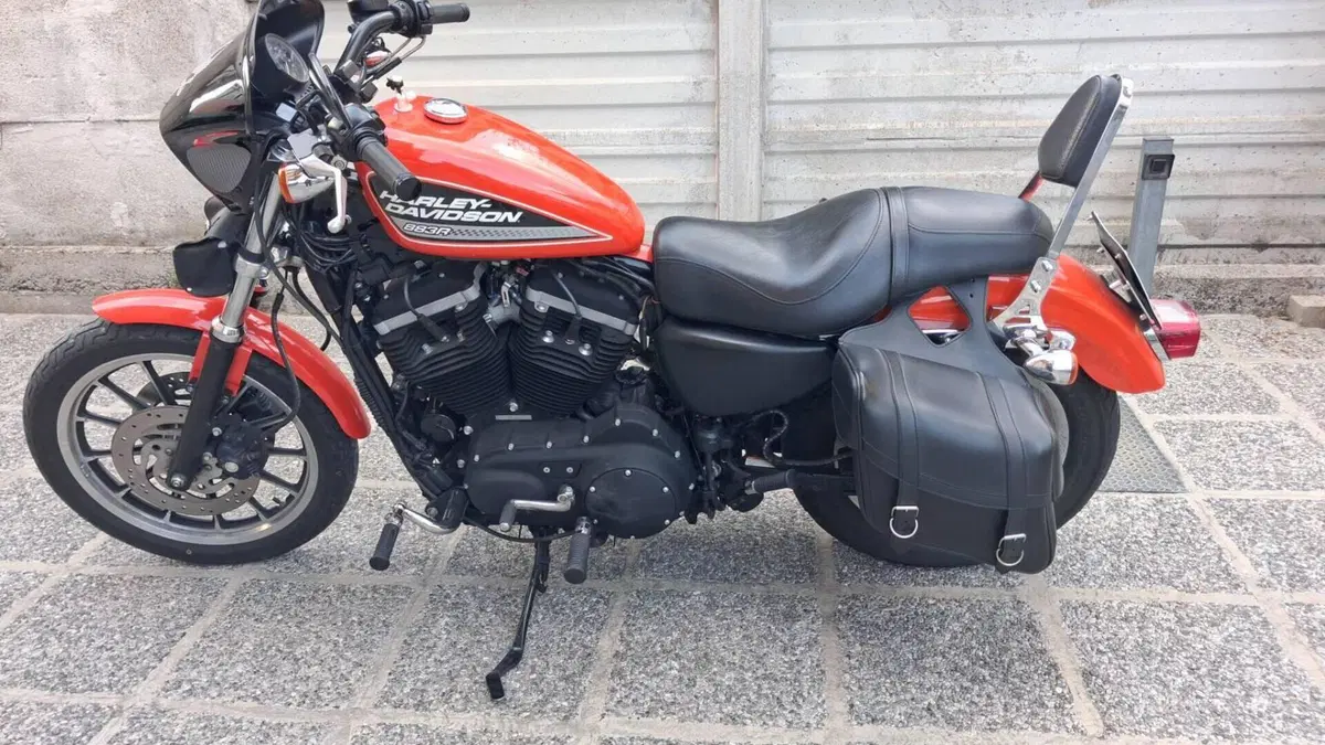 Harley-Davidson 883 (2008 - 09) - XL 