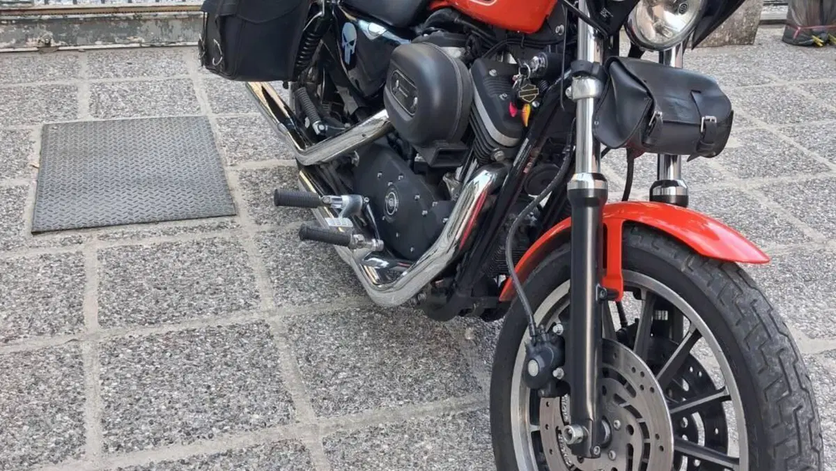 Harley-Davidson 883 (2008 - 09) - XL  (3)